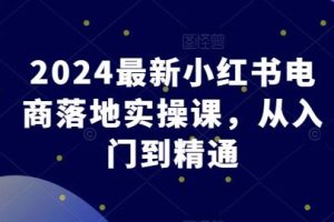 2024最新小红书电商落地实操课,从入门到精通