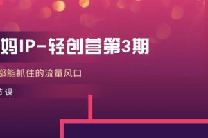 （11042期）宝妈IP-轻创营第3期，人人都能抓住的流量风口（21节课）