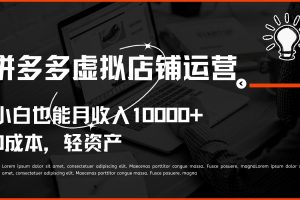 多多虚拟项目运营,小白也能月收入10000+