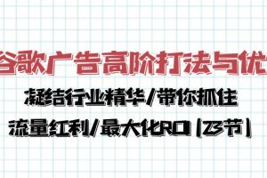 谷歌广告高阶打法与优化,凝结行业精华/带你抓住流量红利/最大化ROI(23节)