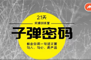 《子弹密码训练营》-用一句话文案勾人勾心卖产品，21天学到顶尖文案大师策略和技巧
