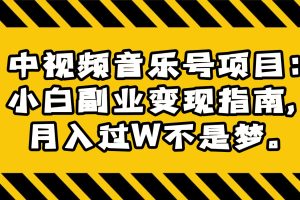 中视频音乐号项目：小白副业变现指南，月入过W不是梦。