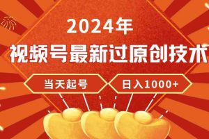 （9565期）2024年视频号最新过原创技术，当天起号，收入稳定，日入1000+