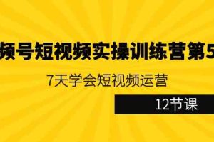 (9029期)视频号短视频实操训练营第5期:7天学会短视频运营(12节课)