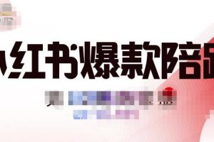 贾真小红书陪跑班第11期，从人设定位，账号设置，选品思路，拍照教程，发文流程等