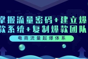 电商流量起爆体系：掌握流量密码+建立爆款系统+复制爆款团队（价值599）