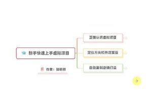 新手如何操作虚拟项目？从0打造月入上万店铺技术【视频课程】