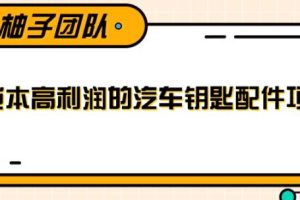 线下暴利赚钱生意，低成本高利润的汽车钥匙配件项目【视频教程】