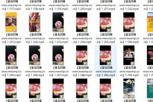 白狼敢死队3月最新（起号涨粉、带货变现、资源提供）附最新茶素材