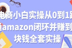 电商小白实操从0到1跑通AMAZON闭环并赚到一块钱全套实操【付费文章】