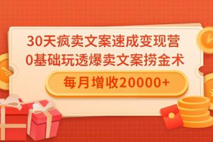 30天疯卖文案速成变现营，0基础玩透爆卖文案捞金术！每月增收20000+
