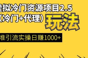 (1185期)虚拟冷门资源项目2.5(冷门&代理玩法) 精准引流实操日赚1000+(更新中)