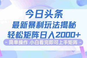 (12584期)今日头条最新暴利掘金玩法揭秘,动手不动脑,简单易上手。轻松矩阵实现…