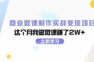（11959期）商业微课制作实战变现项目，这个月我做微课赚了2W+